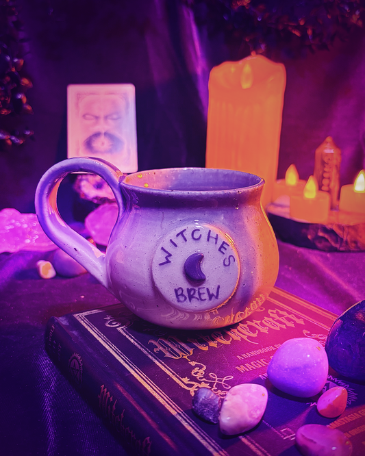 TAZA WITCHES DREW